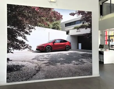 Wall Graphics Photo